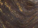 Tiger Iron Stromatolite Shower Tile - Billion Years Old #48811-1